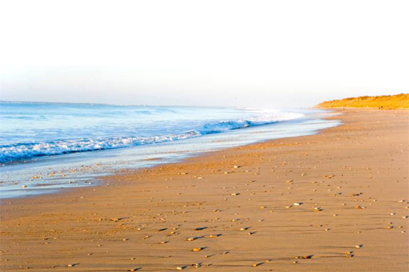 Saint Brevin Hosts One-Cushion Billiards World Championship